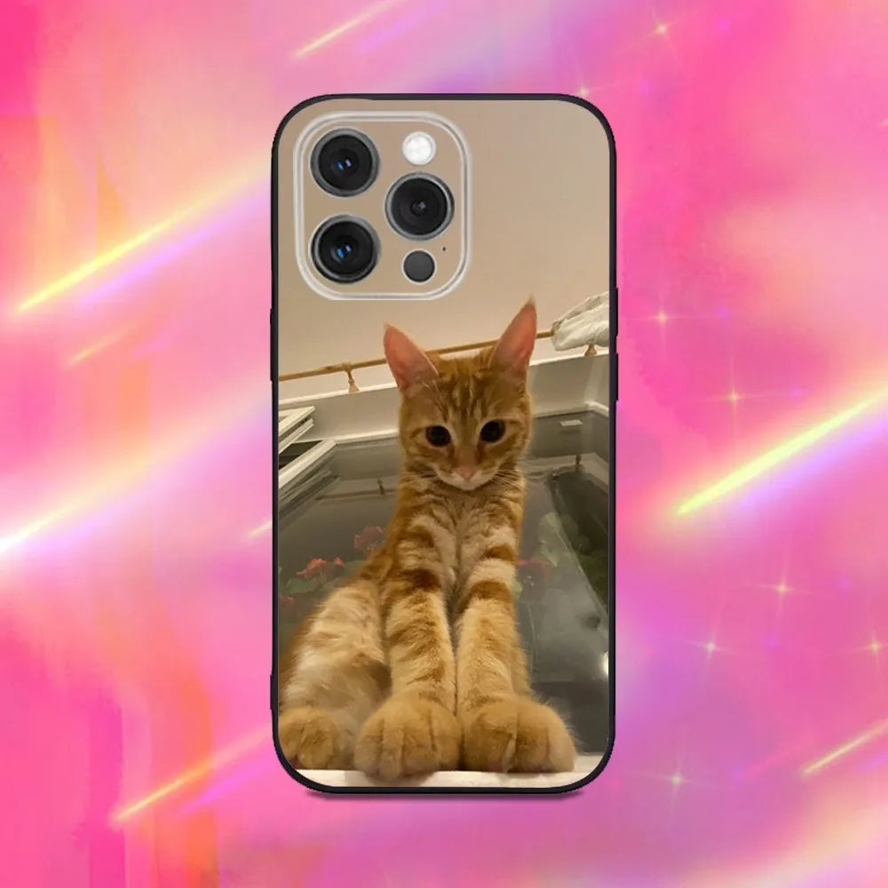 Husa iPhone Cat Memes PAWS